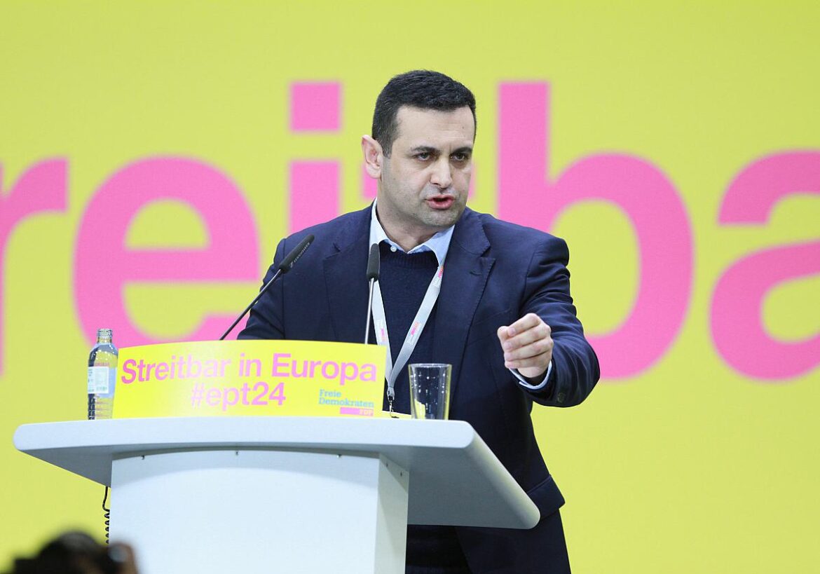 Bijan Djir-Sarai (FDP)