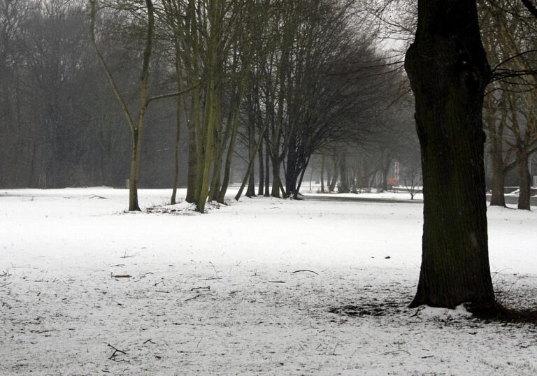 Verschneiter Park