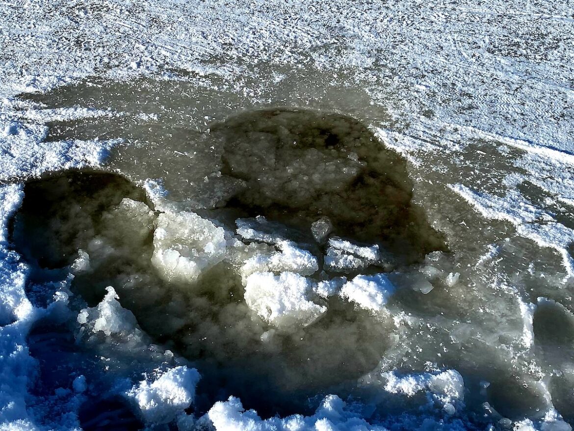 Dünnes Eis am Dümmer