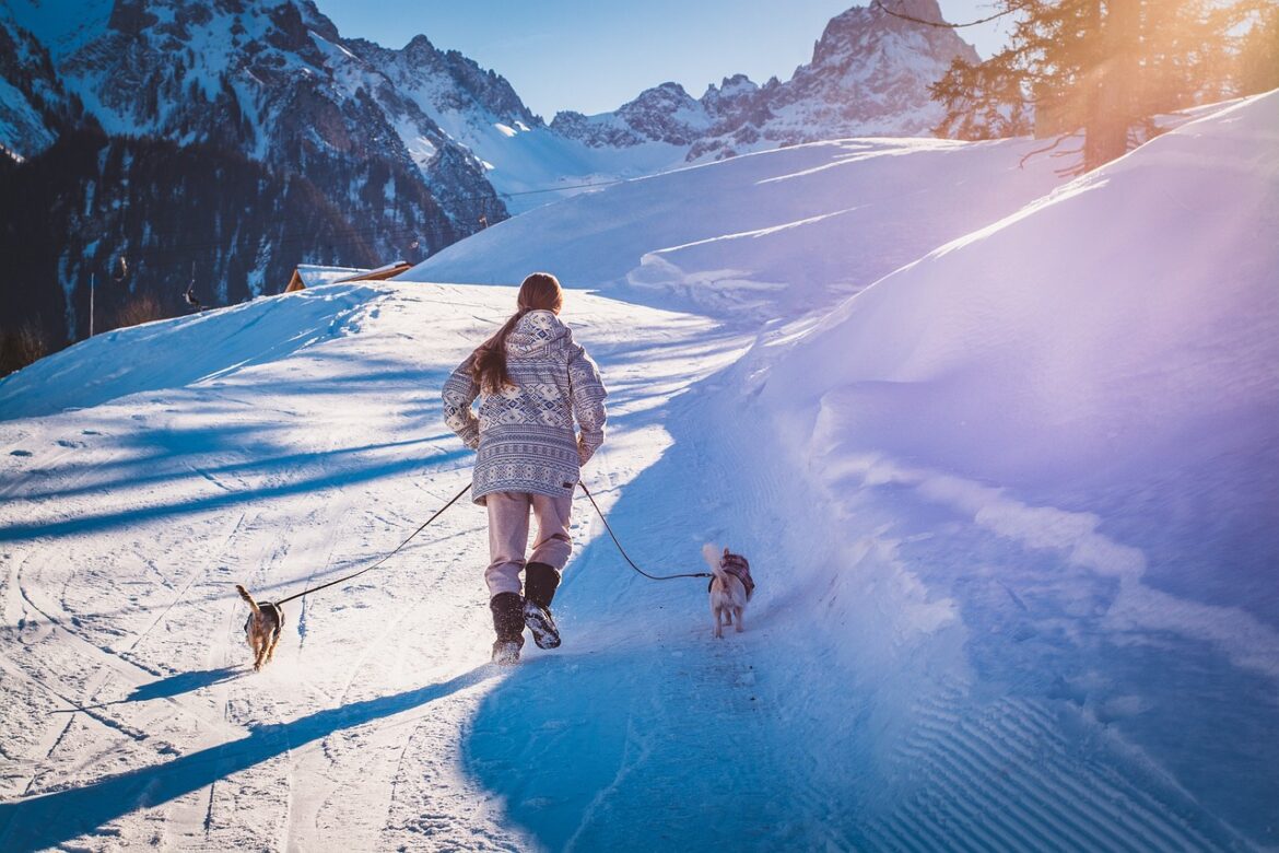 Spaziergang im Schnee mit Hunden