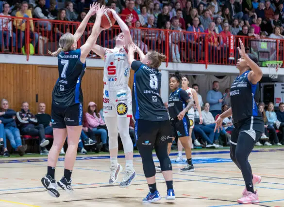 Girolive-Panthers gegen Nördlingen, Foto: Dieter Reinhard