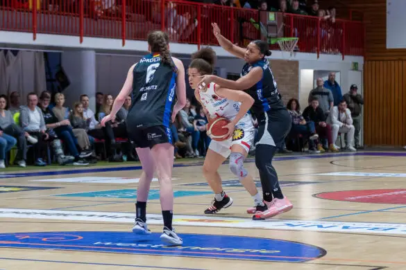 Girolive-Panthers gegen Nördlingen, Foto: Dieter Reinhard