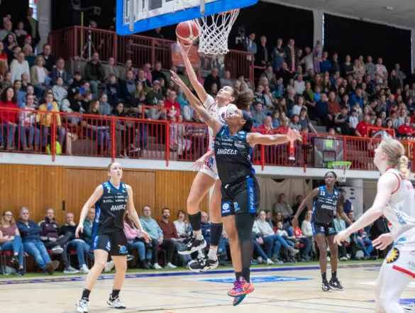 Girolive-Panthers gegen Nördlingen, Foto: Dieter Reinhard