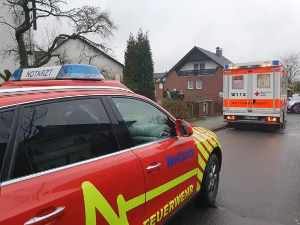 Auto prallt gegen Gartenmauer in Hasbergen