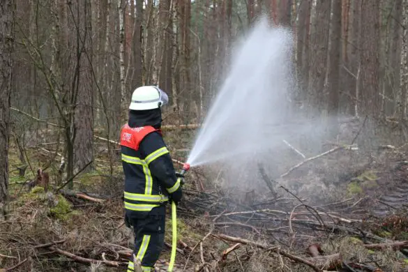 Fast 200 Freiwillige bei Waldbrandübung an der Landesgrenze im Einsatz