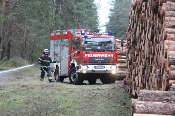 Fast 200 Freiwillige bei Waldbrandübung an der Landesgrenze im Einsatz