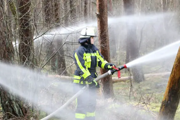 Fast 200 Freiwillige bei Waldbrandübung an der Landesgrenze im Einsatz