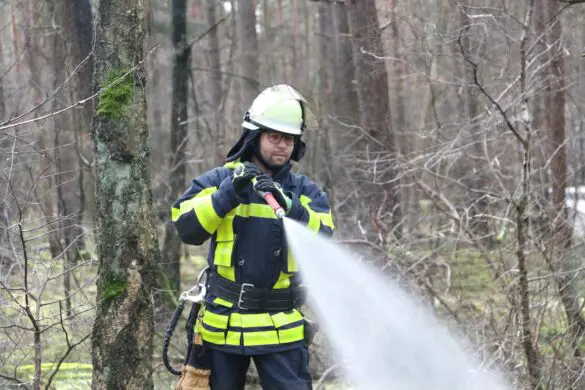 Fast 200 Freiwillige bei Waldbrandübung an der Landesgrenze im Einsatz