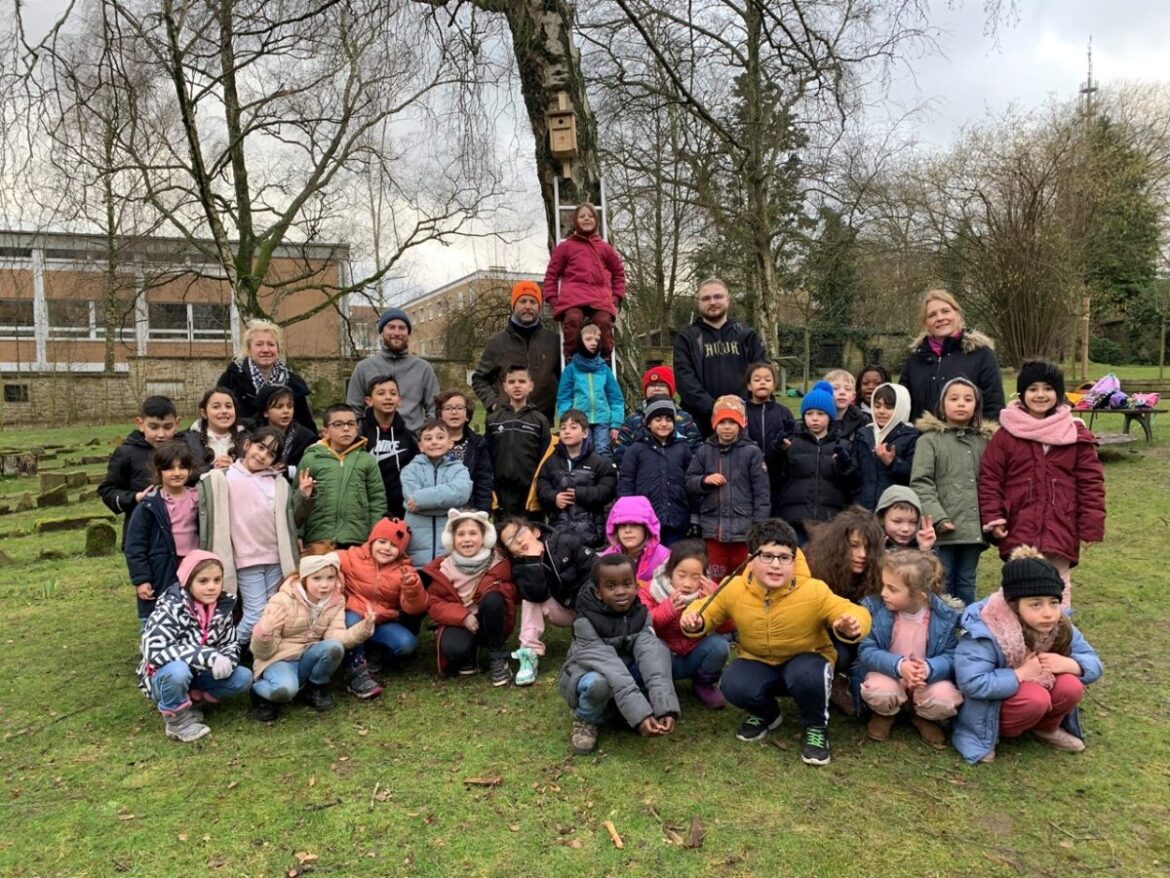 Nistkästen auf dem Johannisfriedhof. / Foto: OSB