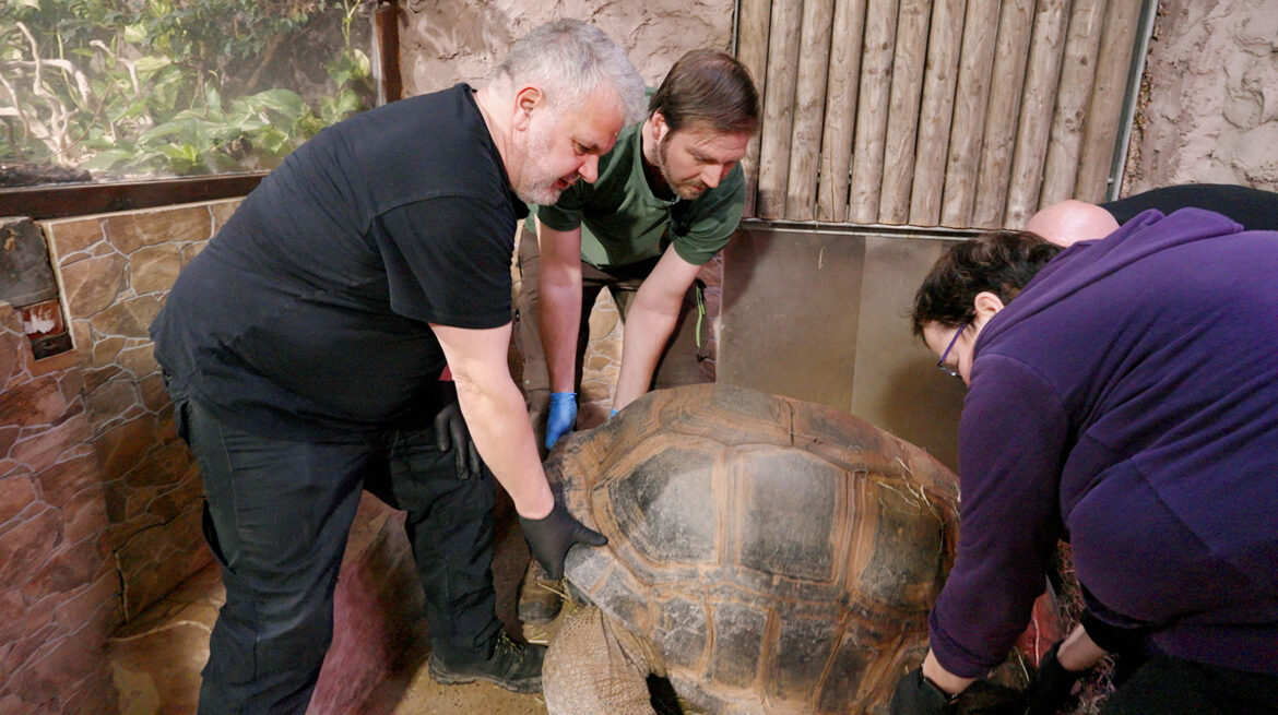 Die Nordreportage: Wenn das Nashorn Schnupfen hat (Zoo Osnabrück)