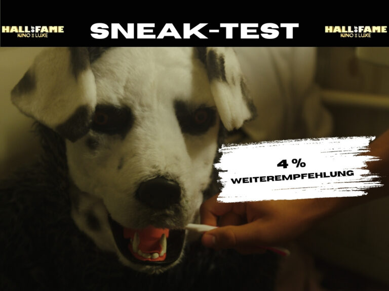 Good Boy im Kino