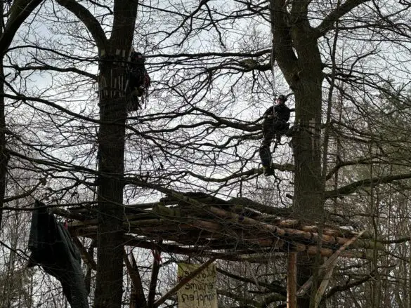 Protestcamp Waldi45 Nach langer Besetzung: Stadt Bramsche lässt Protestcamp "Waldi45" aufräumen