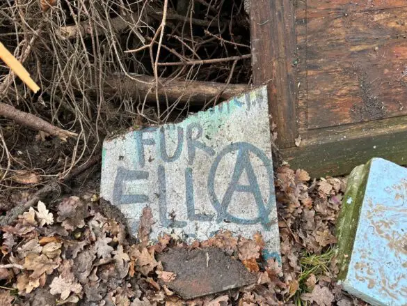 Protestcamp Waldi45 Nach langer Besetzung: Stadt Bramsche lässt Protestcamp "Waldi45" aufräumen