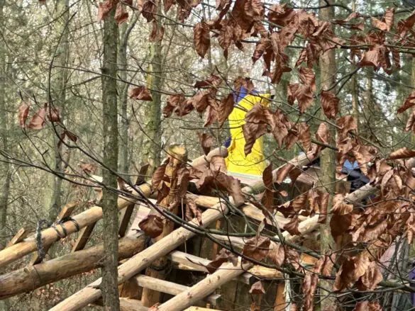 Protestcamp Waldi45 Nach langer Besetzung: Stadt Bramsche lässt Protestcamp "Waldi45" aufräumen