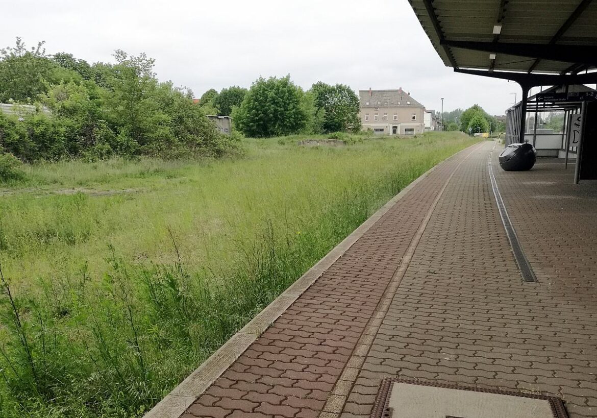 Verwilderte Bahnschienen