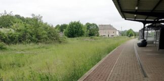 Verwilderte Bahnschienen