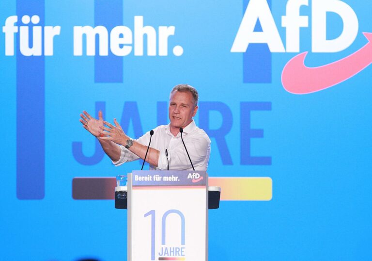 Petr Bystron (AfD)