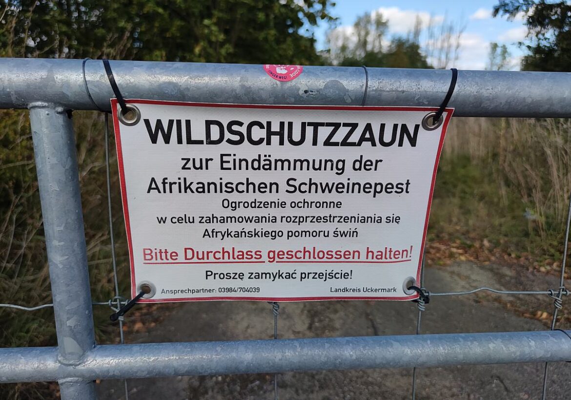 Wildschutzzaun