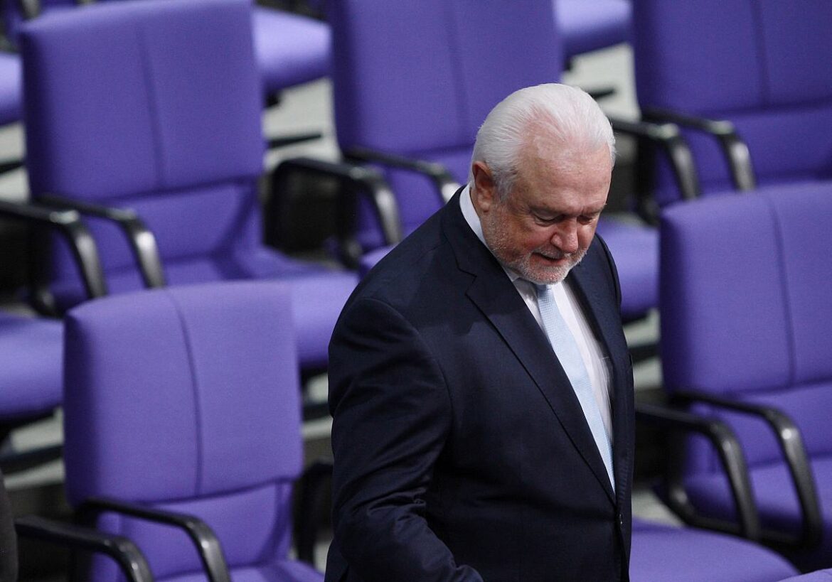 Wolfgang Kubicki (FDP)