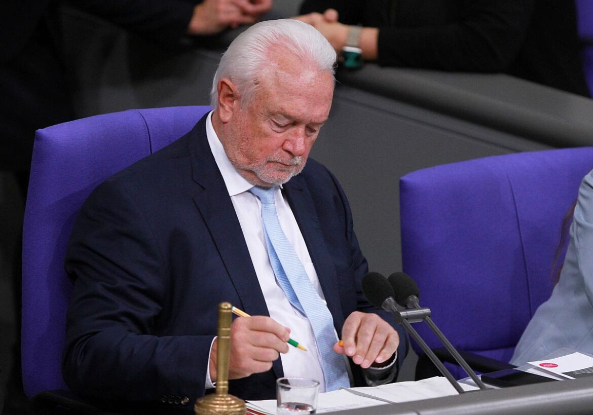 Wolfgang Kubicki (FDP)