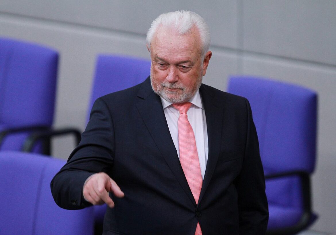 Wolfgang Kubicki (FDP)