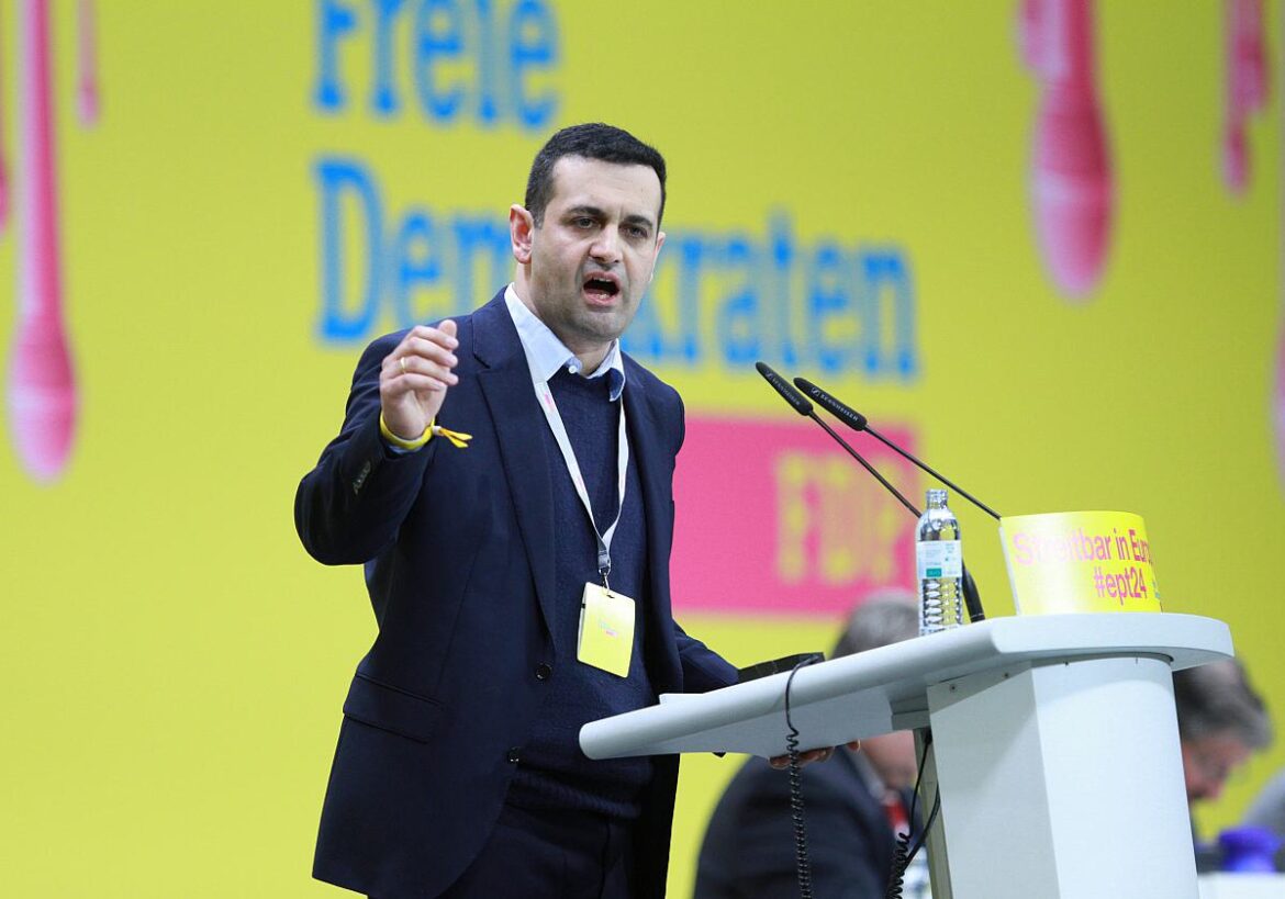 Bijan Djir-Sarai (FDP)