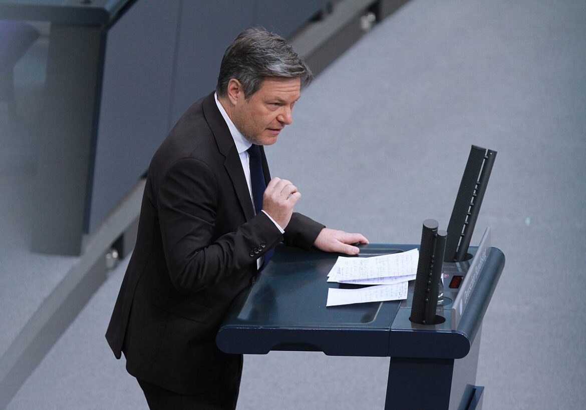 Bundeswirtschaftsminister Robert Habeck (Grüne)