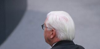 Bundespräsident Steinmeier