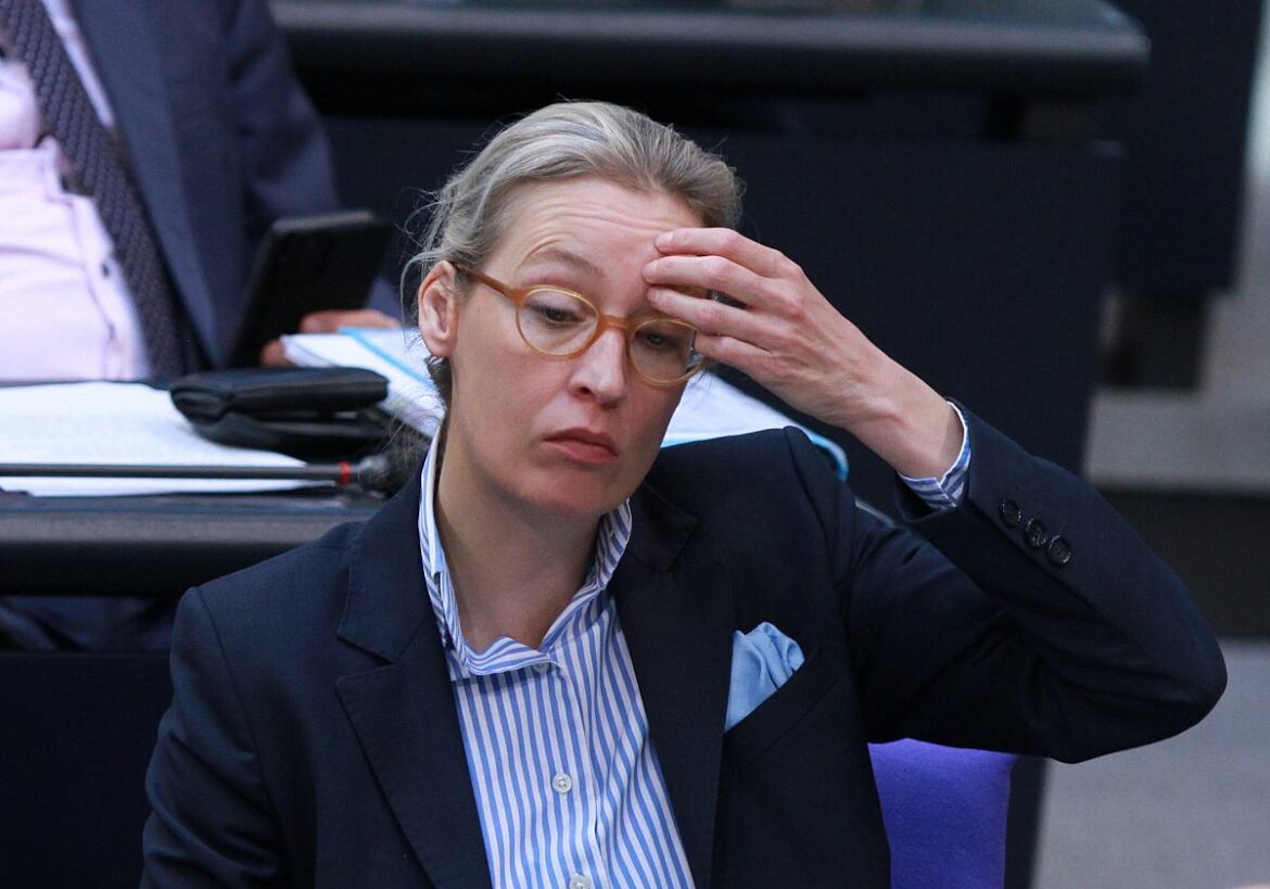 Alice Weidel (AfD)