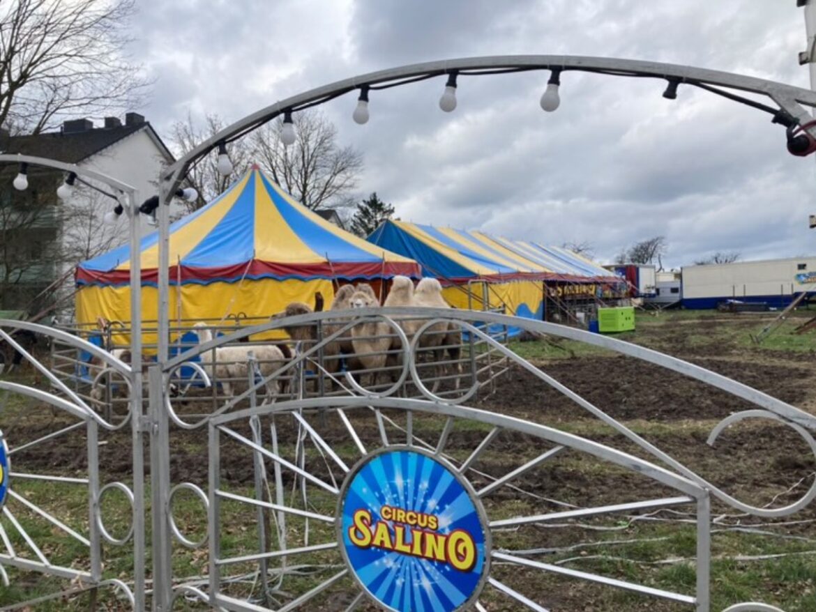 Zirkus Salino gastiert in Osnabrück