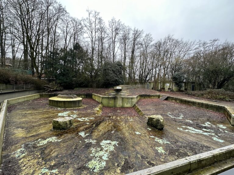 Alte Seelöwenanlage im Zoo Osnabrück 2024