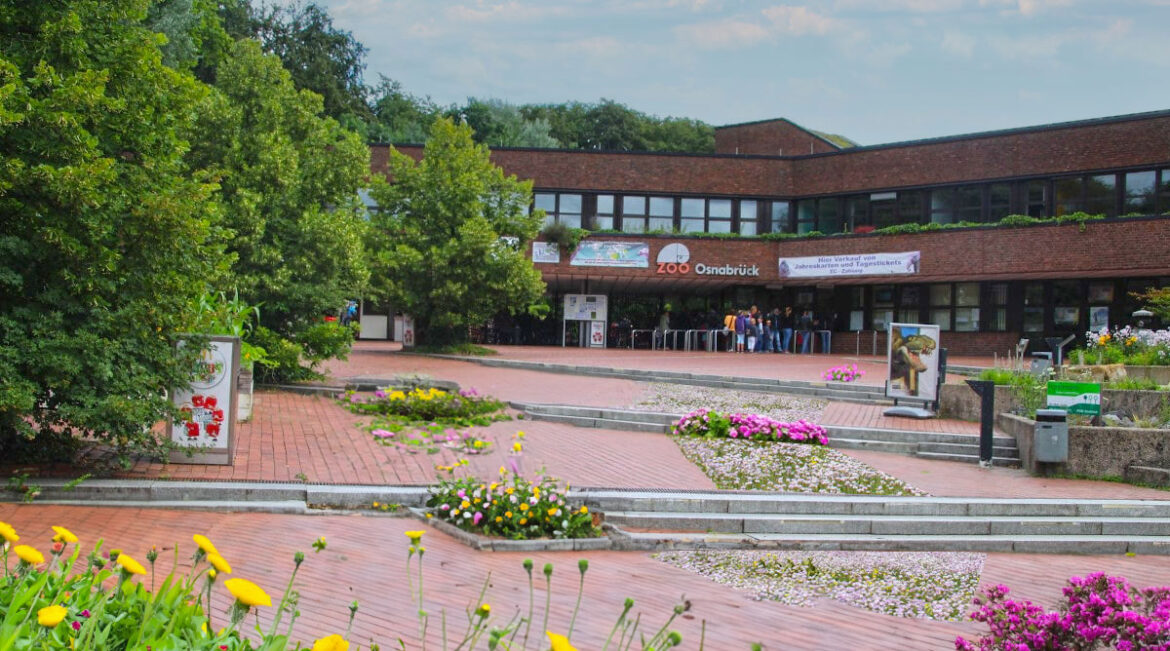 Zoo-Eingang bald mit Blumenwiese?