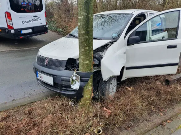 Auto fährt in Dissen in einer Siedlung gegen einen Baum