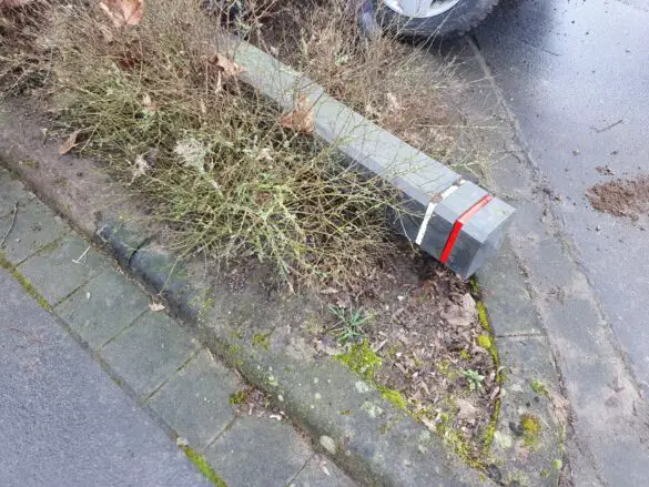 Auto fährt in Dissen in einer Siedlung gegen einen Baum
