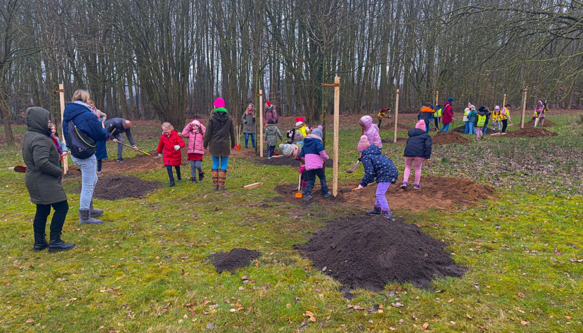 OsnaBRÜCKE Kinderwald