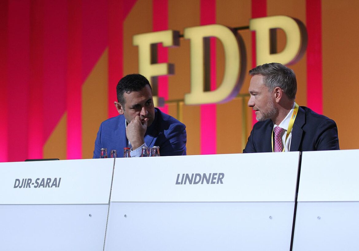 Bijan Djir-Sarai und Christian Lindner (FDP)