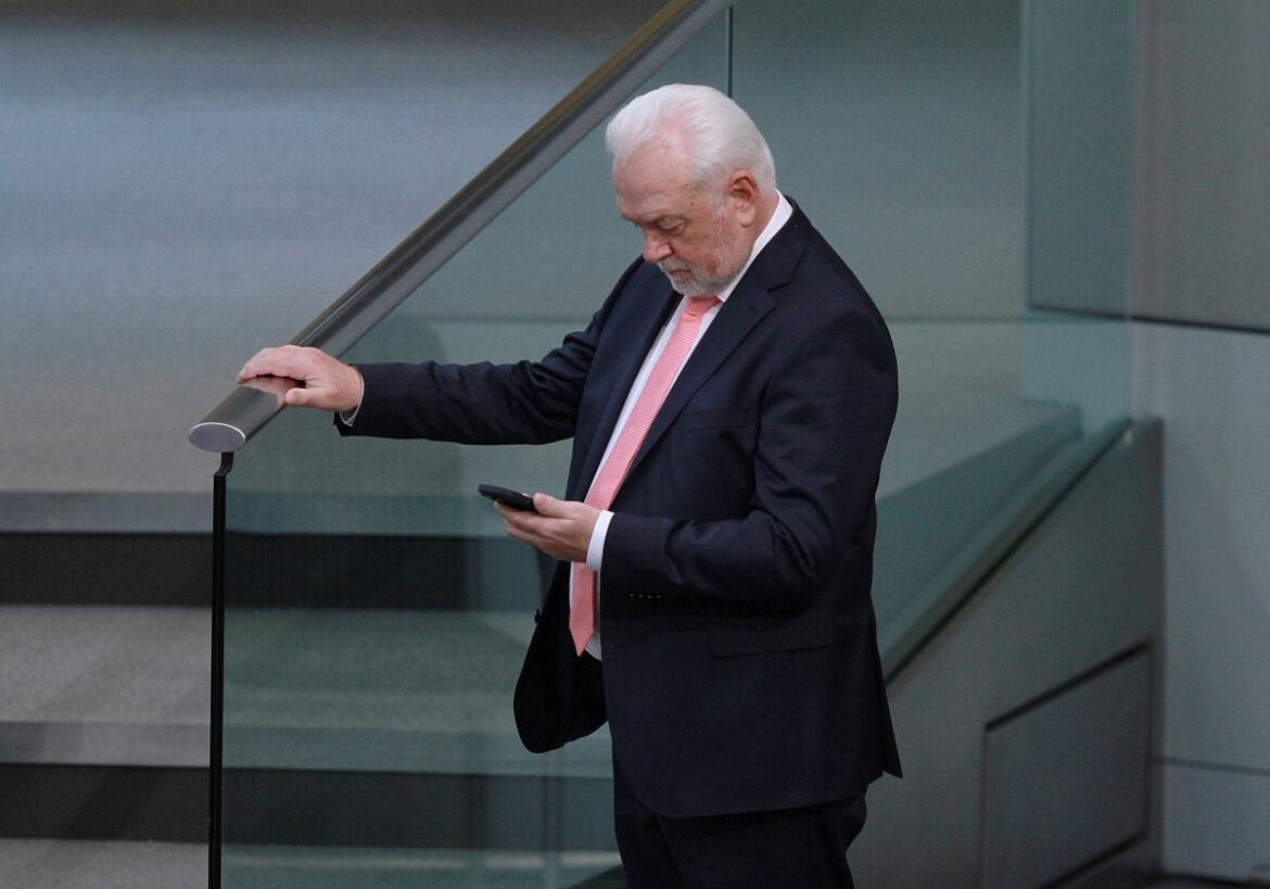 Wolfgang Kubicki (FDP)