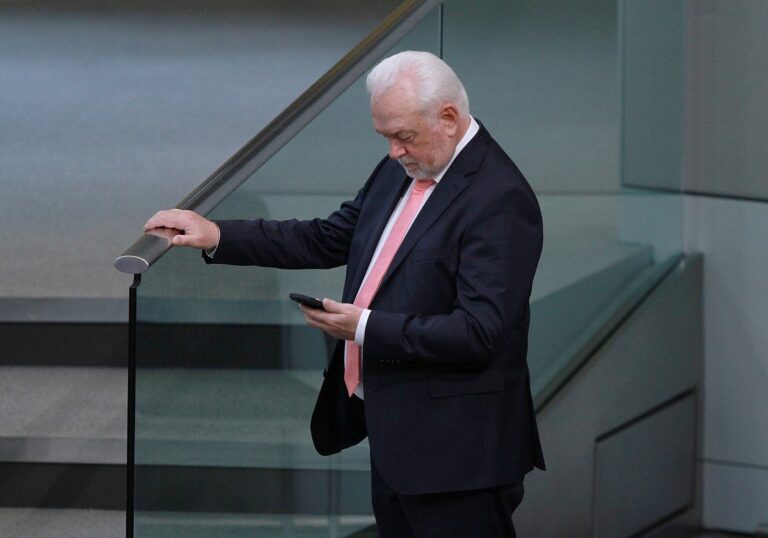 Wolfgang Kubicki (FDP)
