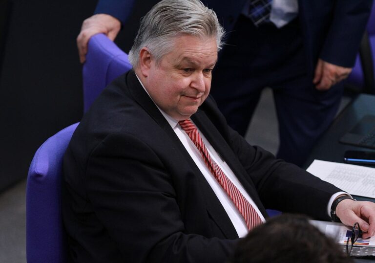 Michael Link (FDP)