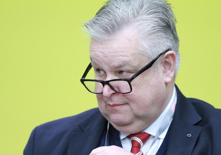 Michael Link (FDP)