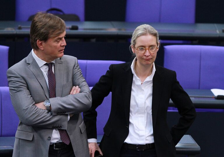Alice Weidel (AfD)