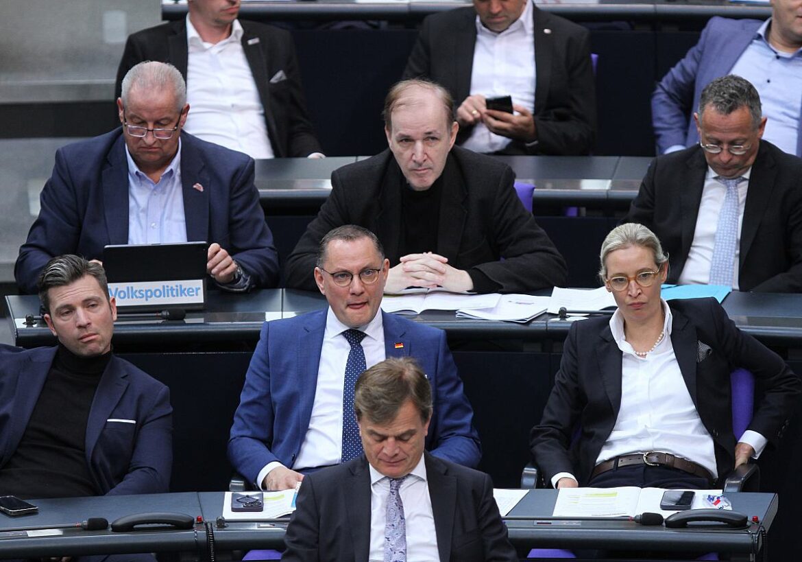 AfD Fraktion im Bundestag