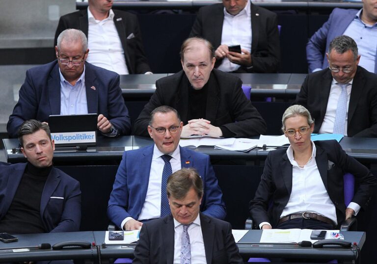AfD Fraktion im Bundestag