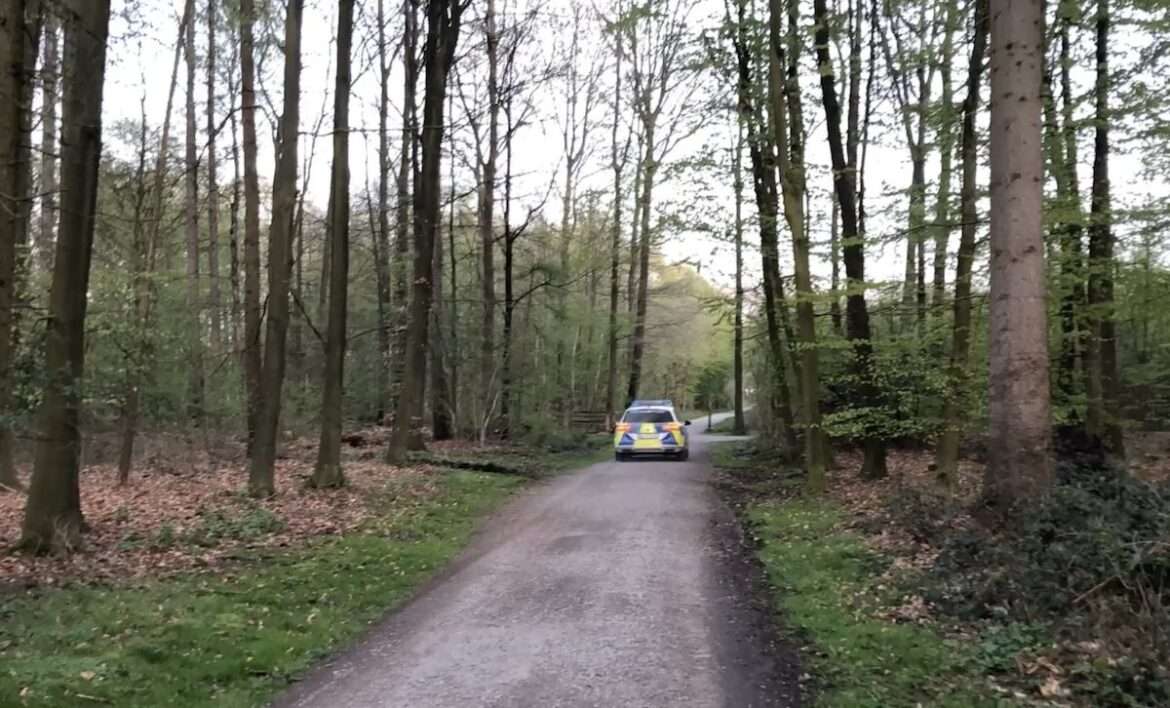 Streifenwagen der Polizei im Wald (Archivbild)