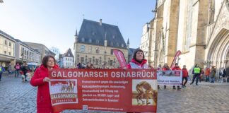 Galgomarsch (Archivbild) / Foto: Klaus Spielbüchler