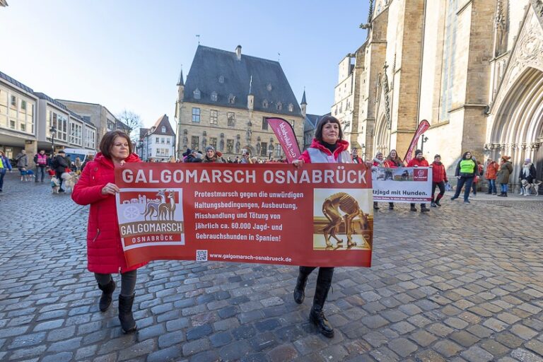 Galgomarsch (Archivbild) / Foto: Klaus Spielbüchler in Osnabrück (Gesamtstadt)