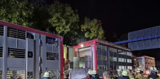 Die Freiwillige Feuerwehr Wallenhorst löschte letzte Glutnester und kümmerte sich um die Tiere. / Foto: Heiko Westermann