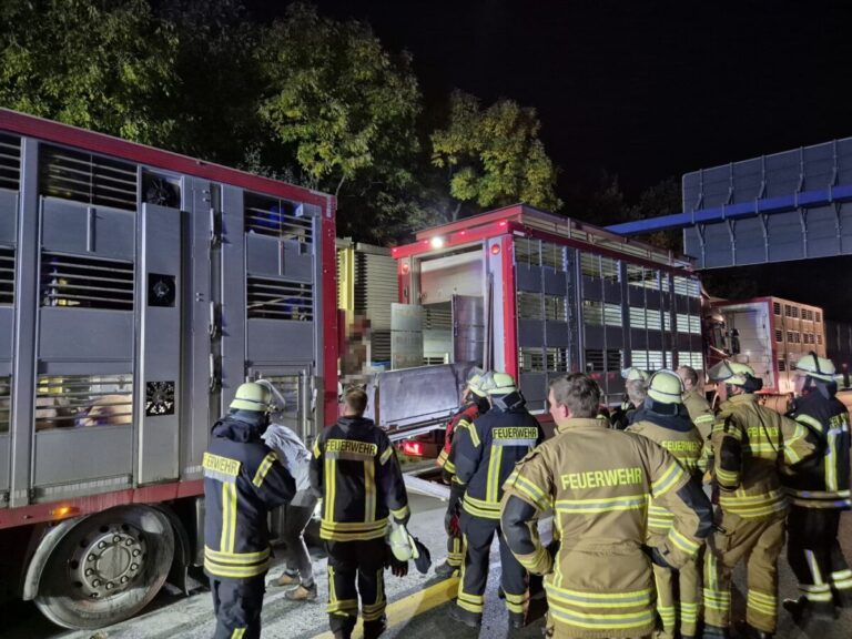 Die Freiwillige Feuerwehr Wallenhorst löschte letzte Glutnester und kümmerte sich um die Tiere. / Foto: Heiko Westermann