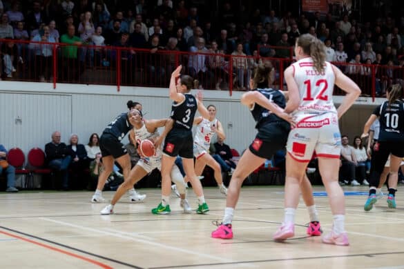 GiroLive Panthers vs. TK Luchse Hannover. / Foto: Alexander Reinhard in Osnabrück (Gesamtstadt)