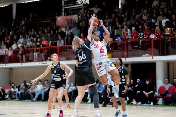 GiroLive Panthers vs. TK Luchse Hannover. / Foto: Alexander Reinhard in Osnabrück (Gesamtstadt)